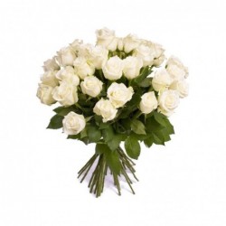 Rosas Nieve