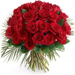Rosas Arrebato