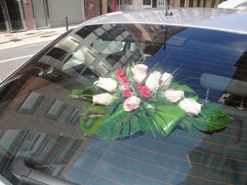 centro coche haya-35€