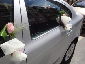 coches novia