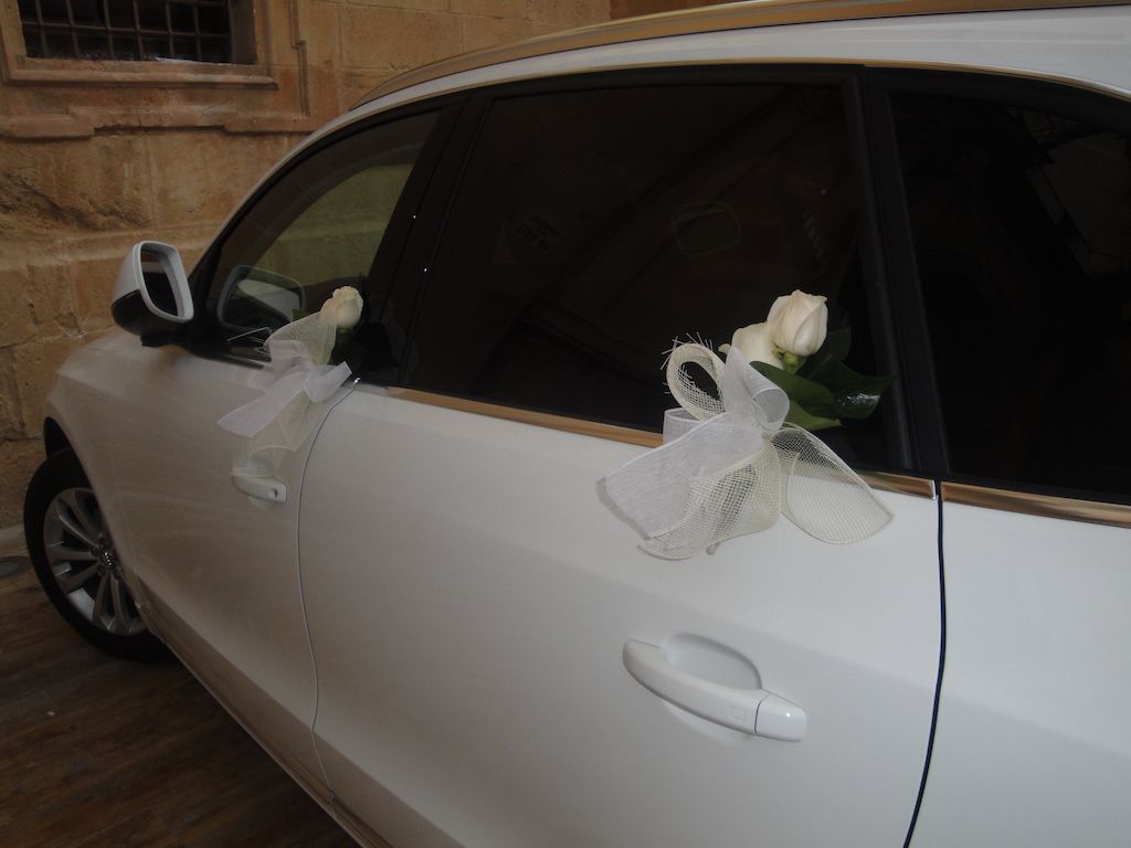 lazos pinar 25€