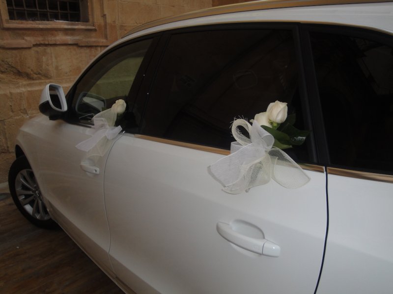 lazos pinar 25€